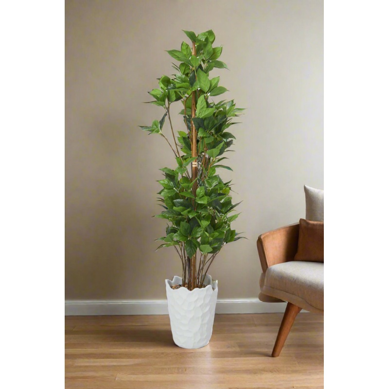 Artificial Ficus Big Plant In Cement Pot