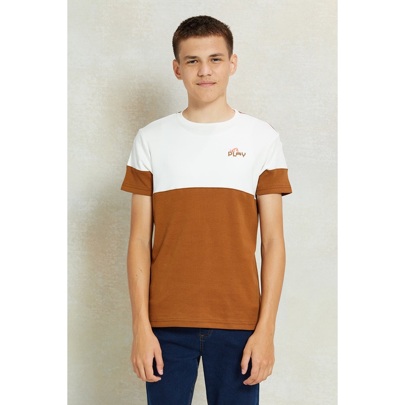 Senior Boys Beige And White  Printed T-Shirt