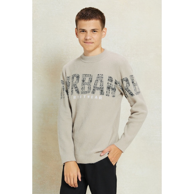 Senior Boys Beige Printed Pullover