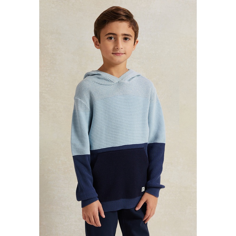 Boys Navy And Blue Hooded Pullover