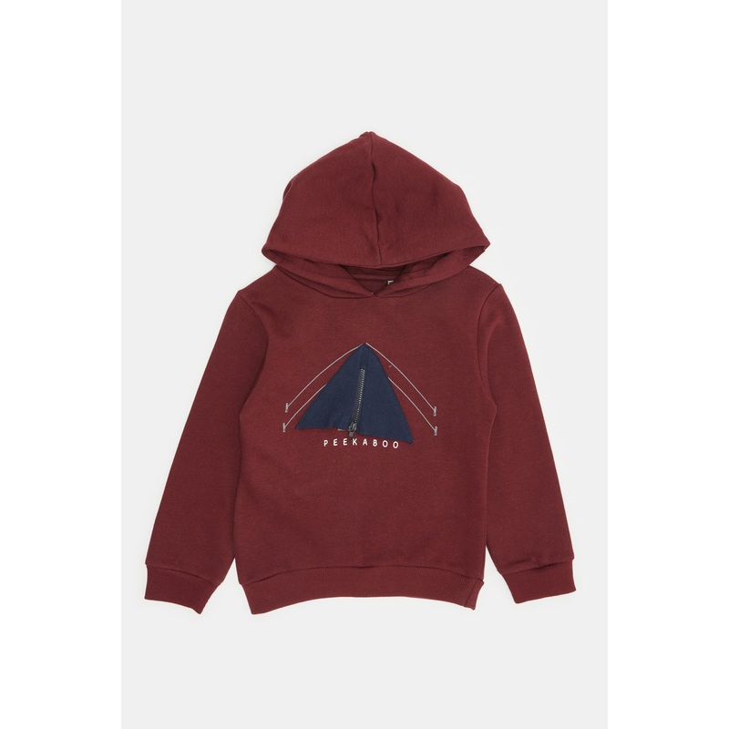 Infant Boys Burgundy Hooded Printed Sweatshirt