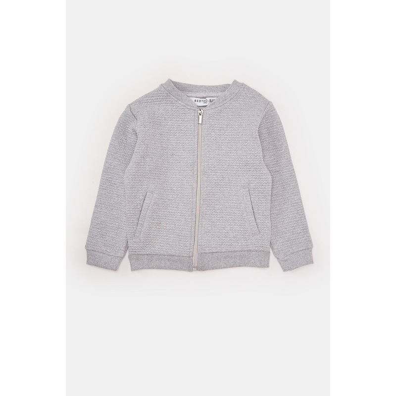 Infant Boys Grey Jacquard Sweatshirt