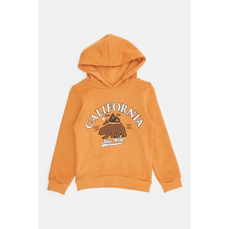 Infant Boys Mustard Print Hooded Sweatshirt