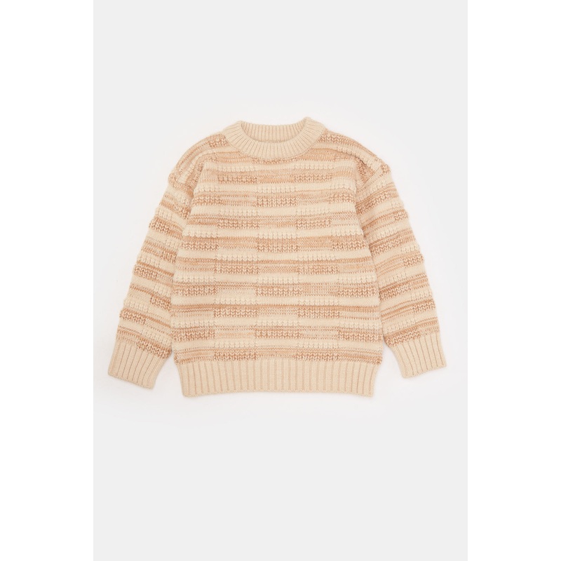 Infant Boys Brown Jacquard  Pullover