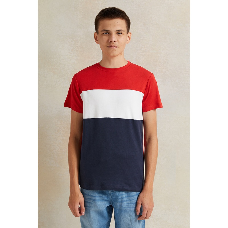 Senior Boys Multicolour T-Shirt