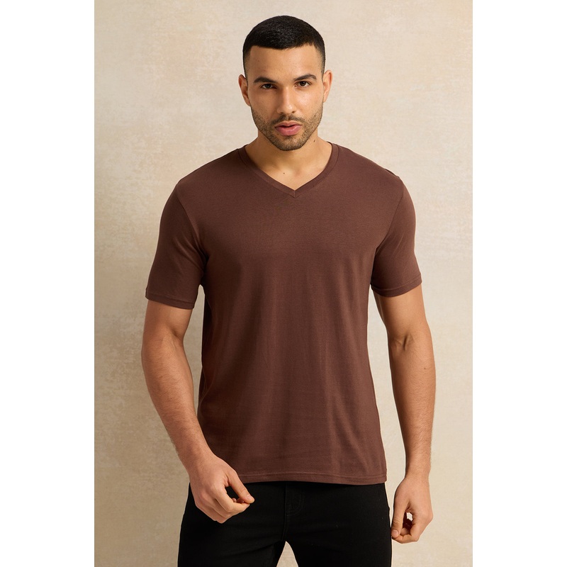 Men Brown Basic V-Neck T-Shirt