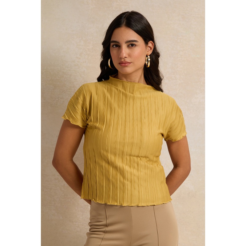 Women Mustard Textured Knit Top