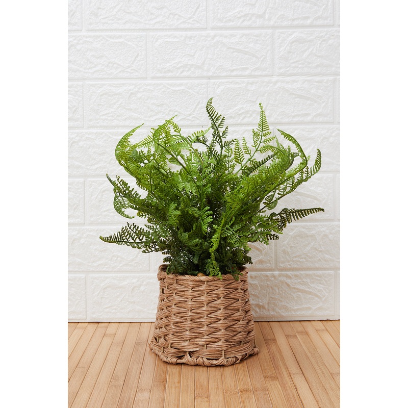 Green Artificial Fern In Woven Basket