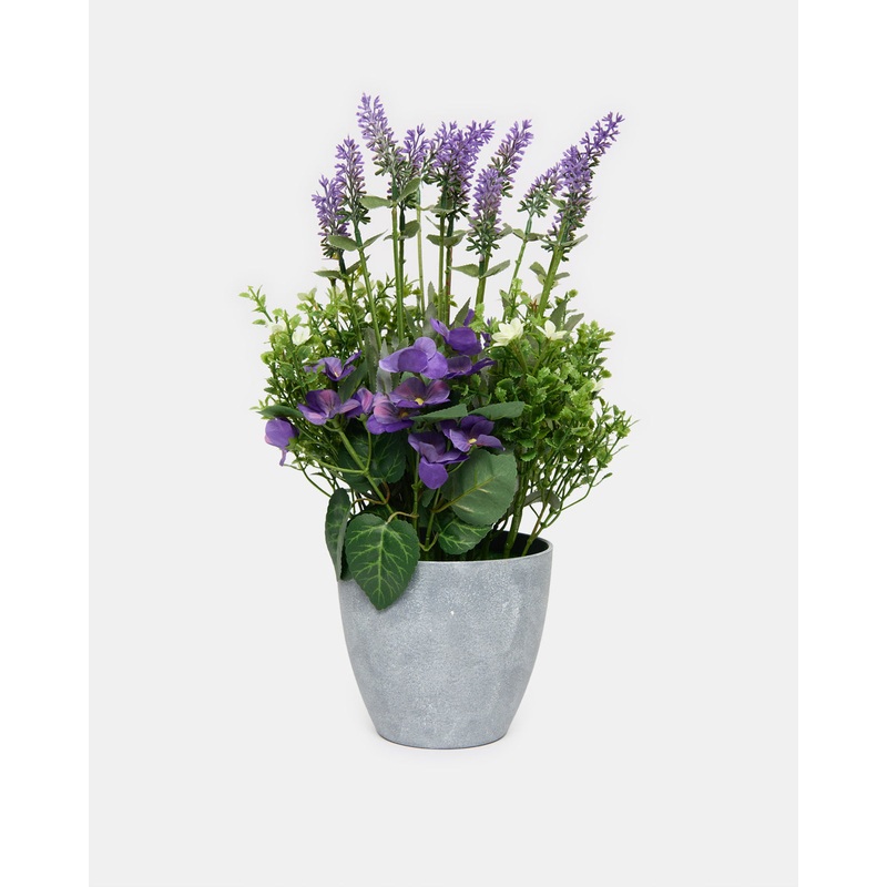 Purple Lavender & Petunias With Planter