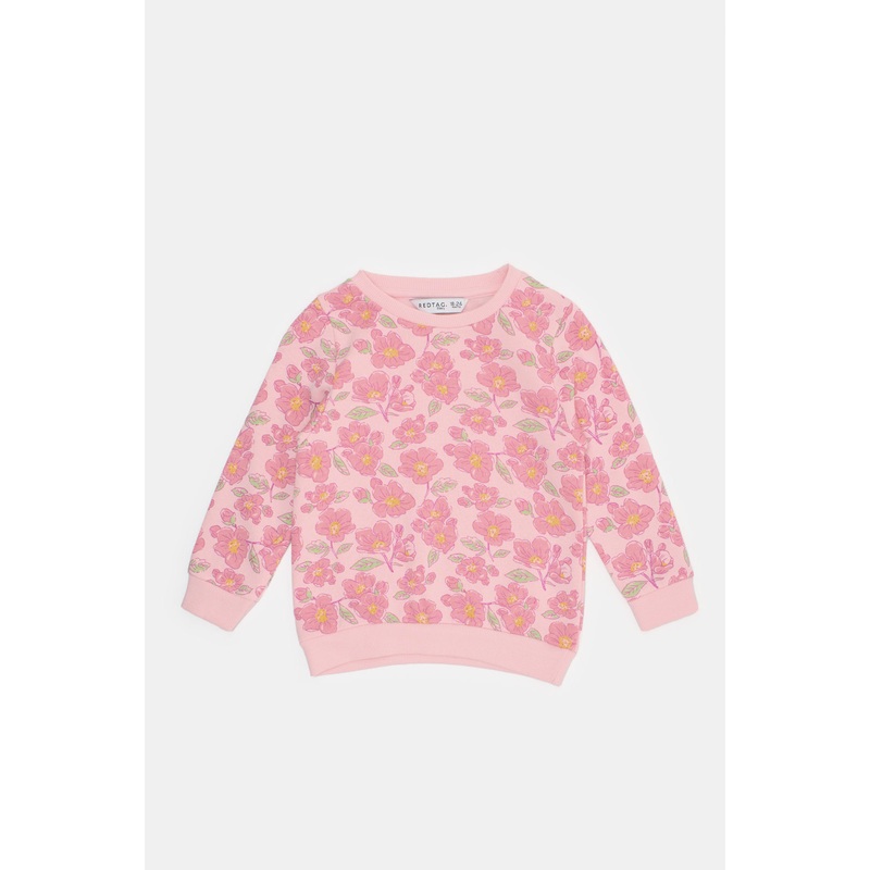 Infant Girls Pink And Purple Sweatshirt Set (Pack of 2)