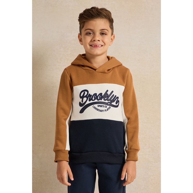 Boys Brown Hooded Printed Sweatshirt