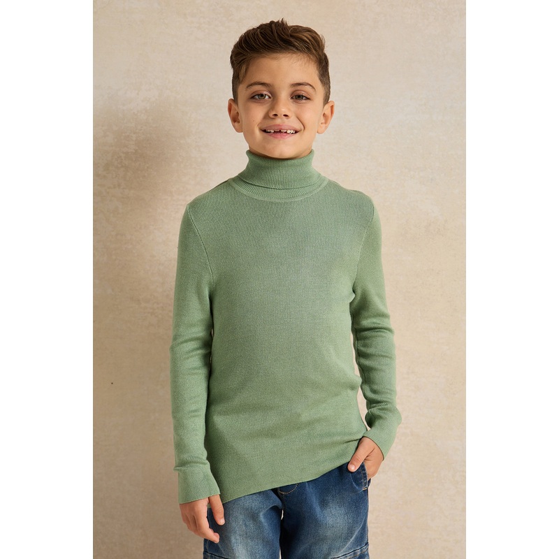 Boys Mint High Neck Plain Pullover