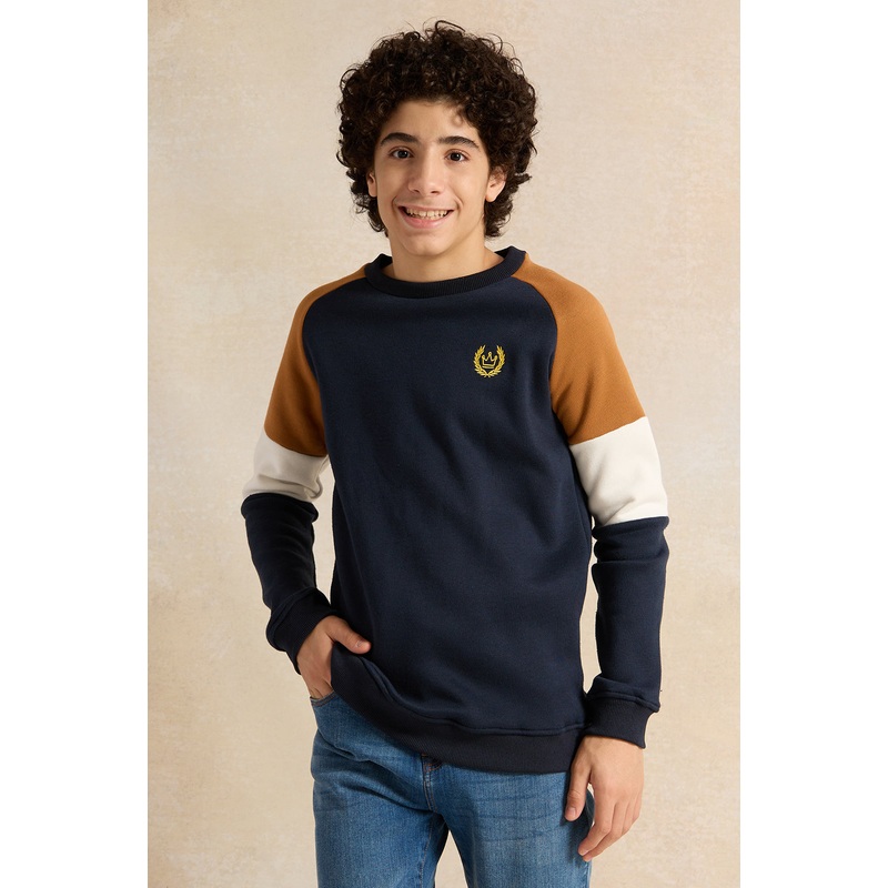 Senior Boys Crewneck Color Block Sweatshirt