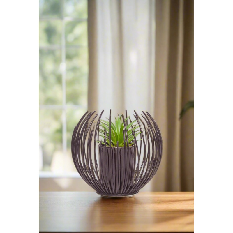 Black Decorative Succulent Plant With Metal Case