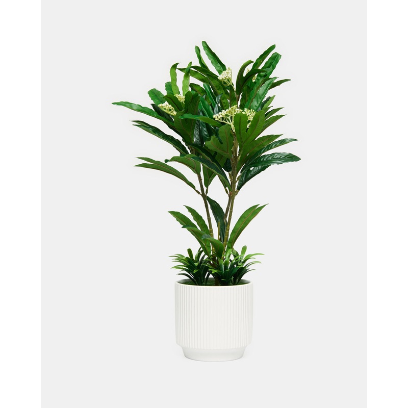 Artificial Aralia With Planter
