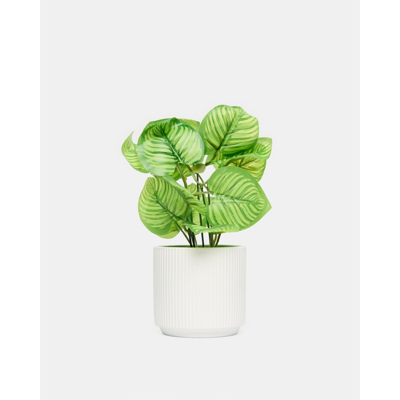 Artificial Dieffenbachia With Planter