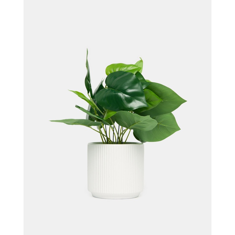 Artificial Philodendron With Planter