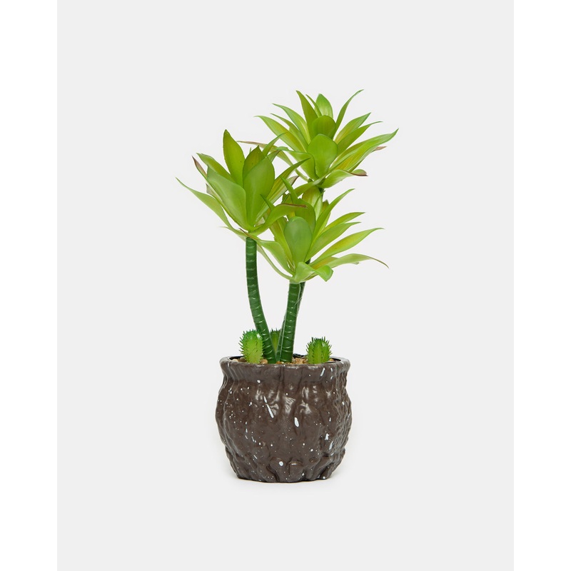 Artificial Succulent