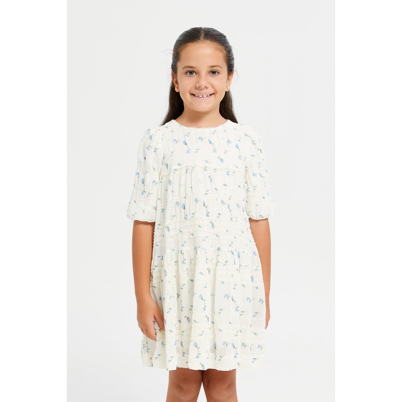 Girls White And Green Embroidered Chiffon Dress (Wrong Image)