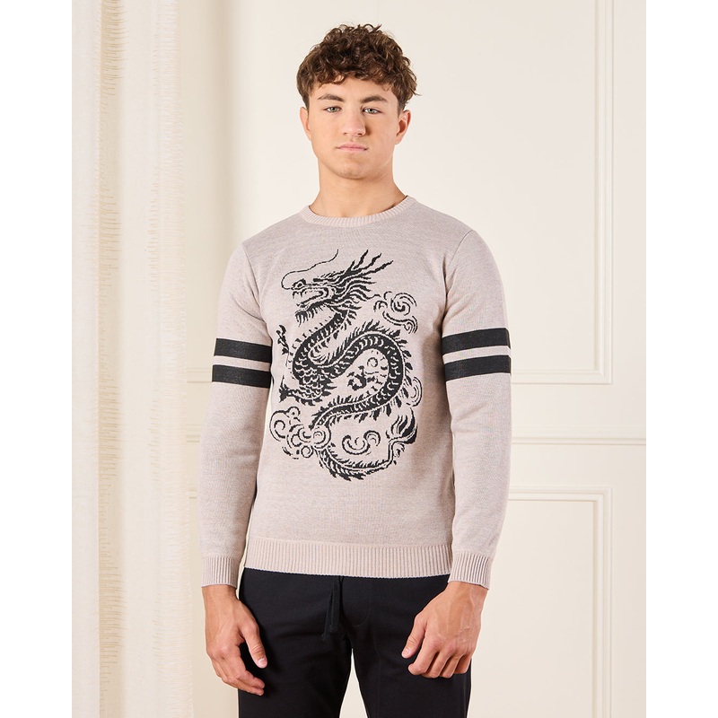 Senior Boys Beige Dragon Print Pullover