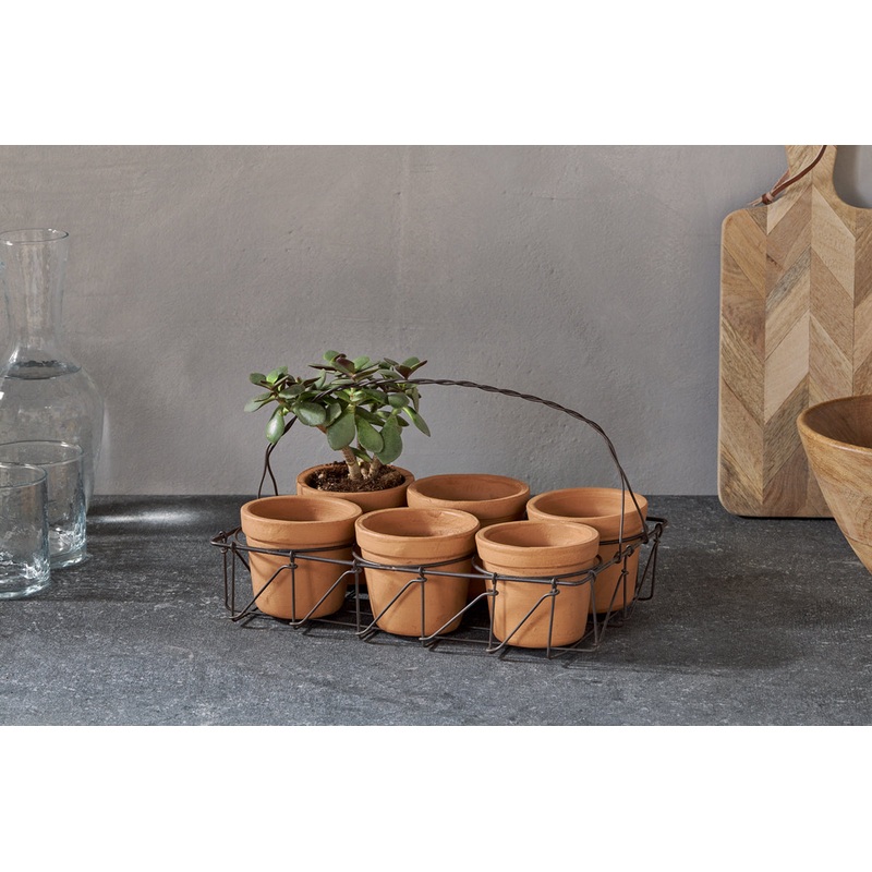 Dilipa Terracotta Multi Planter – Terracotta