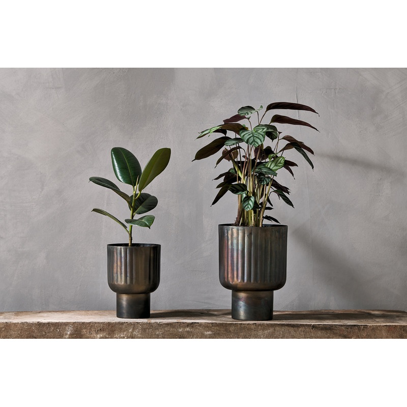 Dasalla Planter – Aged Brass|Antique Brass|Large|Small