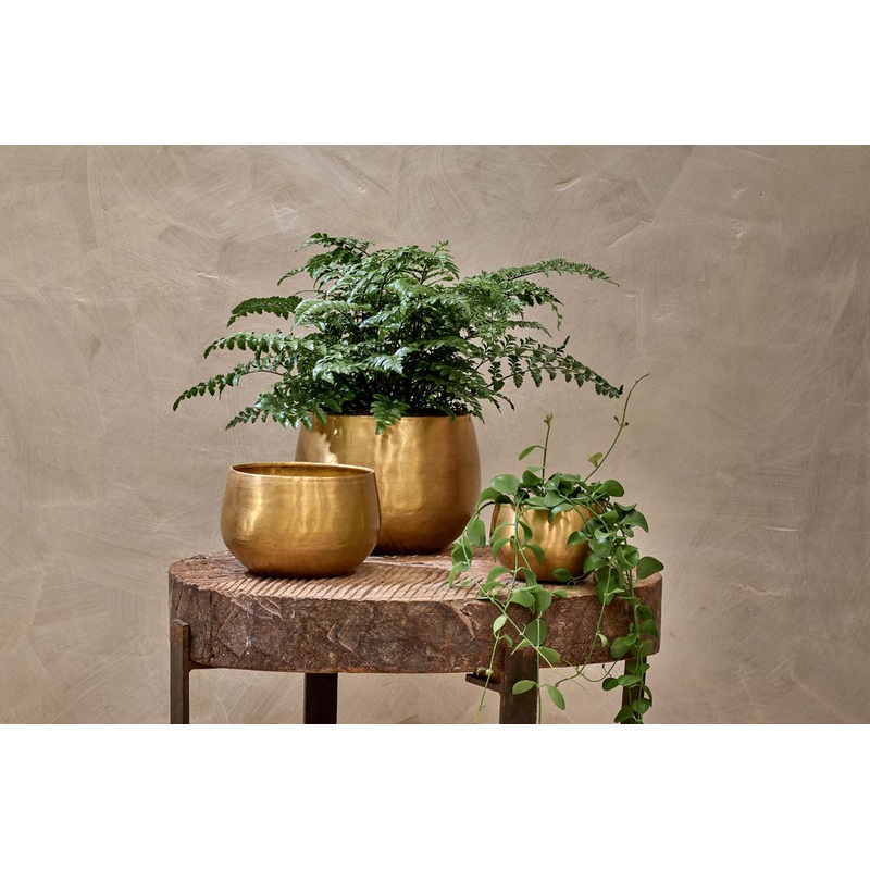 Atsu Brass Planter|Antique Brass|Small|Medium|Large