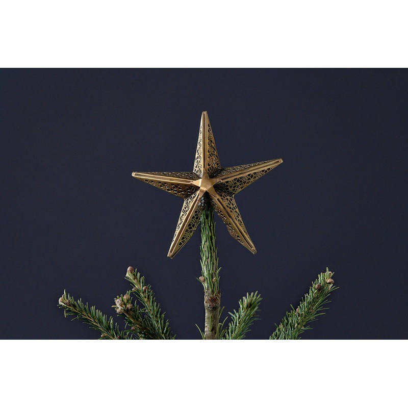 Bishakha Star Tree Topper|Brass|One Size