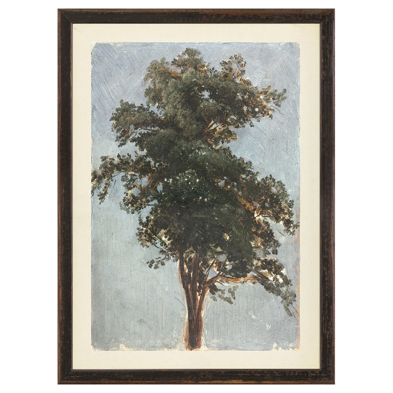 Sassafras Vintage Tree|Small|Large