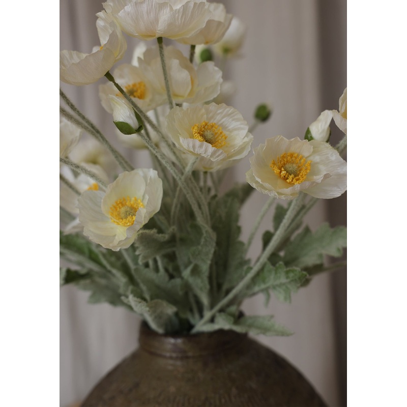 23.6 Poppy Spray