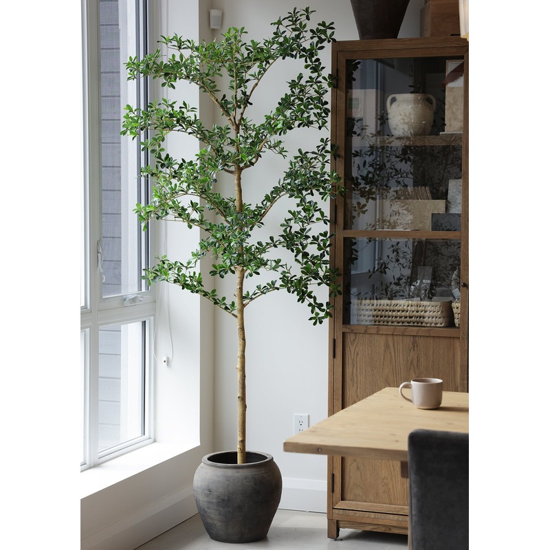 7′ Shady Lady Tree