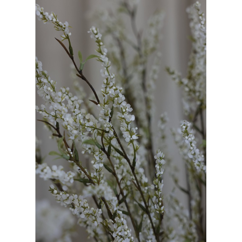 Spirea Spray